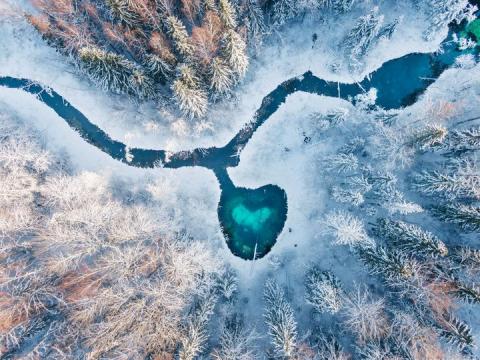 Foto: Hiite kuvavõistluse võidupilt Hans Markus Antsoni kuva „Metsa süda“