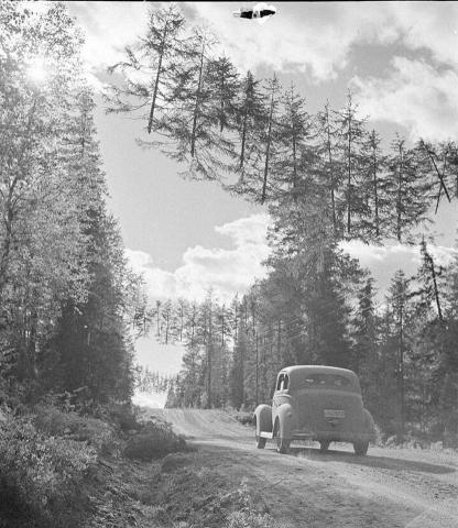 Foto: kuvatõmmis, Petapixel / orig SA-KUVA/ Public Domain.