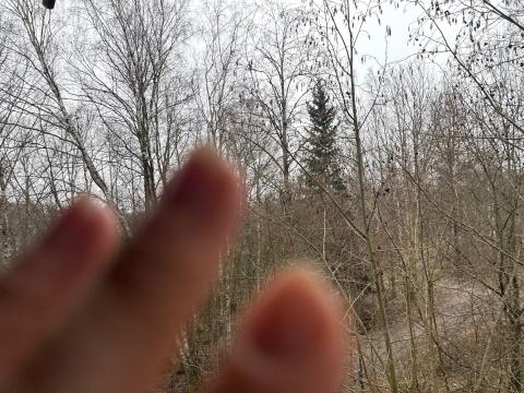 Foto: Enriika Vunk, Eriti halb pilt Soomest 