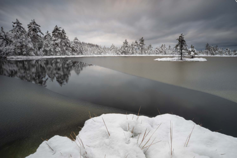 Foto: Andrei Reinol /kuvatõmmis