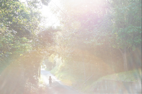 Foto: Rinko Kawauchi, Fotografiska