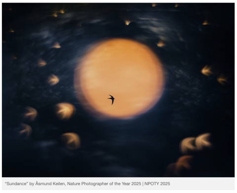 Foto: kuvatõmmis, 2025 aasta fotograaf ja foto Foto: kuvatõmmis, 2025 aasta fotograaf ja foto