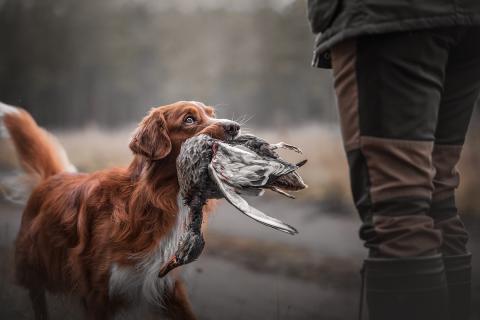 Foto: Kristiina Tammik. Võidufoto.