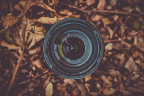Foto: Caio/ Pexels