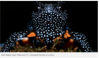 Foto: kuvatõmmis /Petapixel