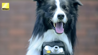 Foto: kuvatõmmis videost